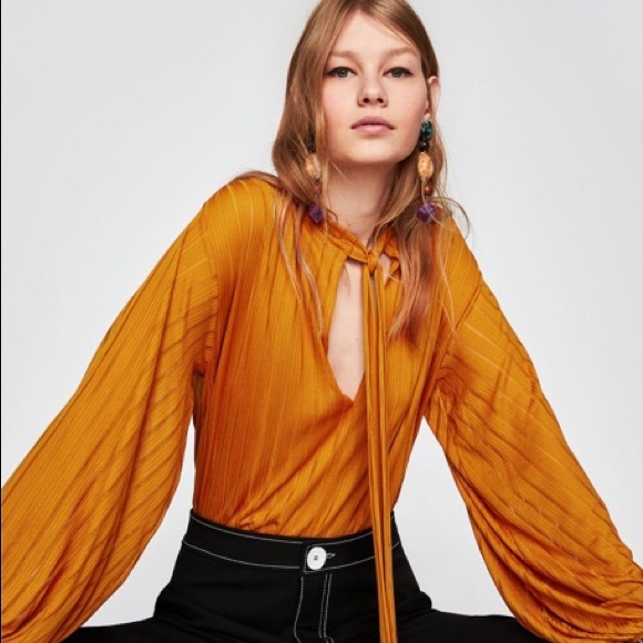 Zara Tops - ZARA Semi Sheer Long Sleeve Top/Blouse
